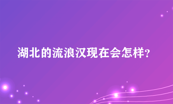 湖北的流浪汉现在会怎样？