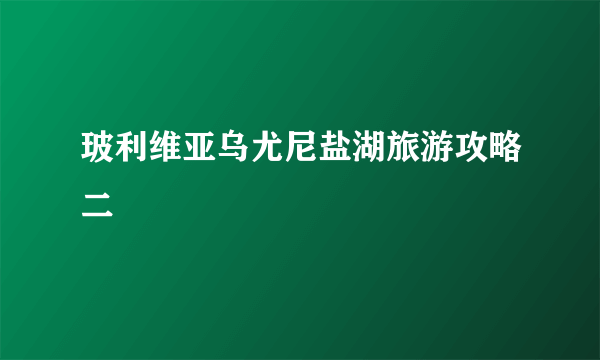 玻利维亚乌尤尼盐湖旅游攻略二