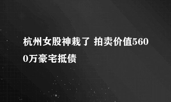 杭州女股神栽了 拍卖价值5600万豪宅抵债