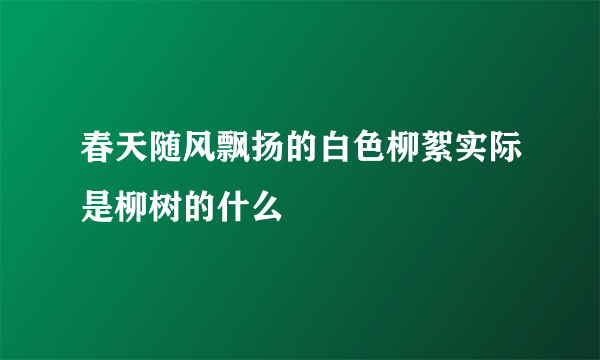 春天随风飘扬的白色柳絮实际是柳树的什么