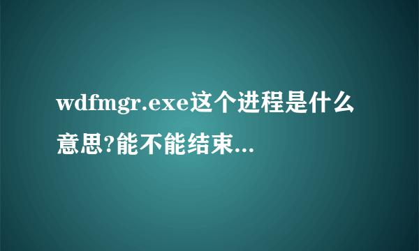 wdfmgr.exe这个进程是什么意思?能不能结束,怎么样删除?