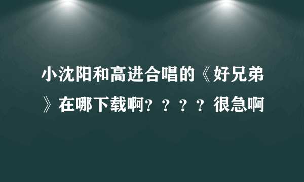 小沈阳和高进合唱的《好兄弟》在哪下载啊？？？？很急啊