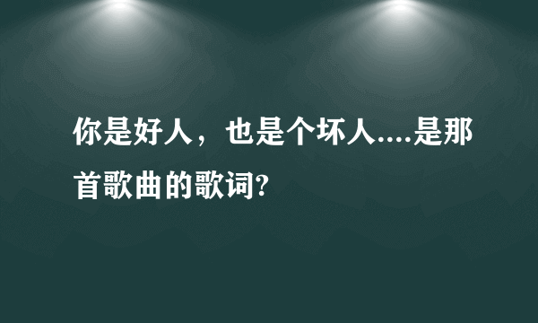 你是好人，也是个坏人....是那首歌曲的歌词?