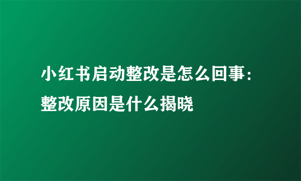 小红书启动整改是怎么回事：整改原因是什么揭晓