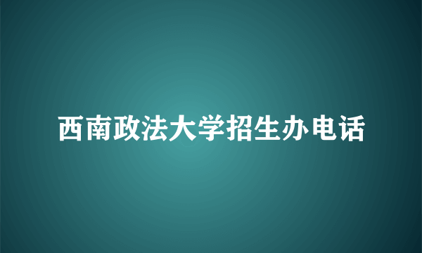 西南政法大学招生办电话