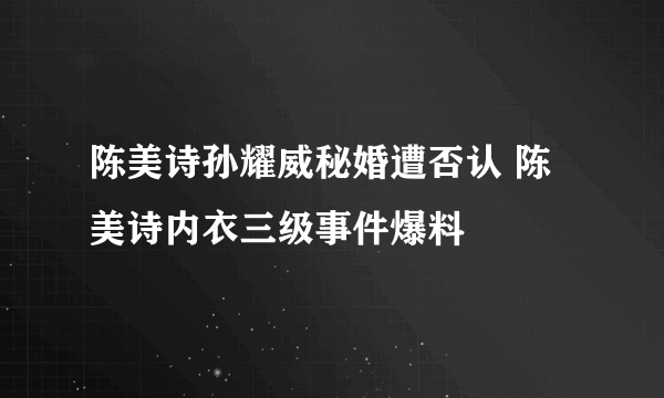 陈美诗孙耀威秘婚遭否认 陈美诗内衣三级事件爆料