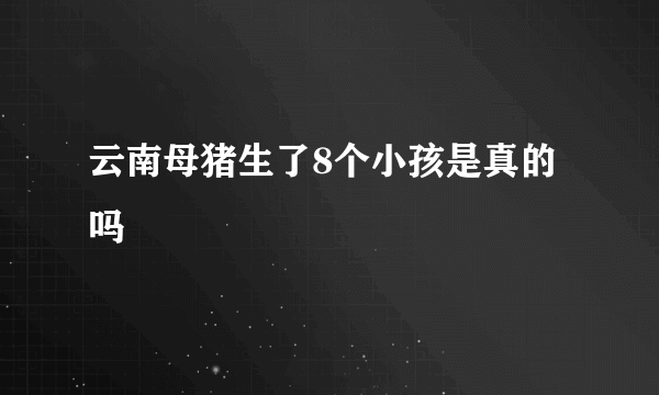 云南母猪生了8个小孩是真的吗