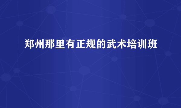 郑州那里有正规的武术培训班