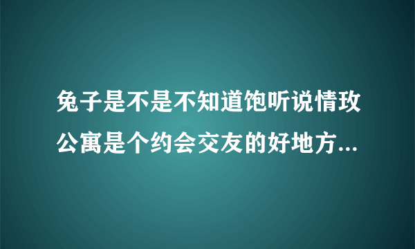 兔子是不是不知道饱听说情玫公寓是个约会交友的好地方不知道这里的是不是骗人的