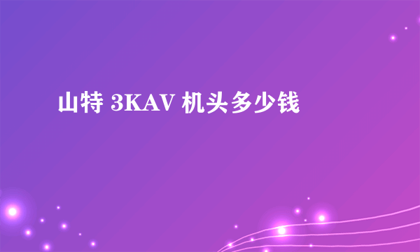 山特 3KAV 机头多少钱