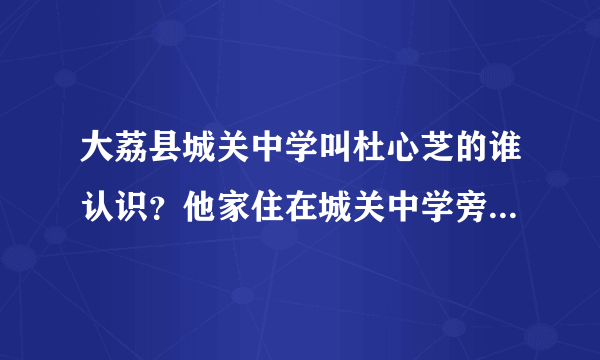 大荔县城关中学叫杜心芝的谁认识？他家住在城关中学旁边！拜托了，认识的留下她QQ号谢谢了，自己的也行