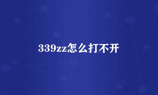 339zz怎么打不开