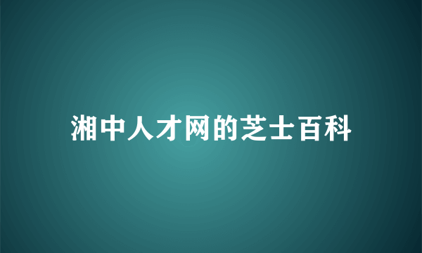 湘中人才网的芝士百科