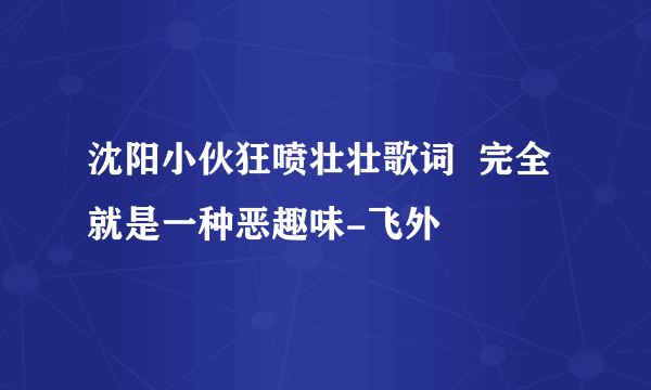 沈阳小伙狂喷壮壮歌词  完全就是一种恶趣味-飞外