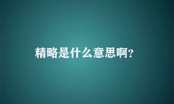 精略是什么意思啊？