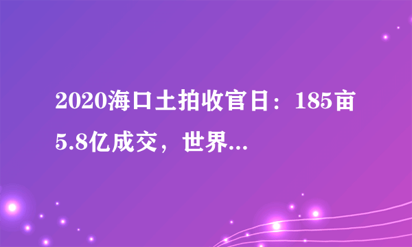 2020海口土拍收官日：185亩5.8亿成交，世界500强中国交建大丰收