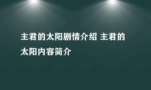 主君的太阳剧情介绍 主君的太阳内容简介