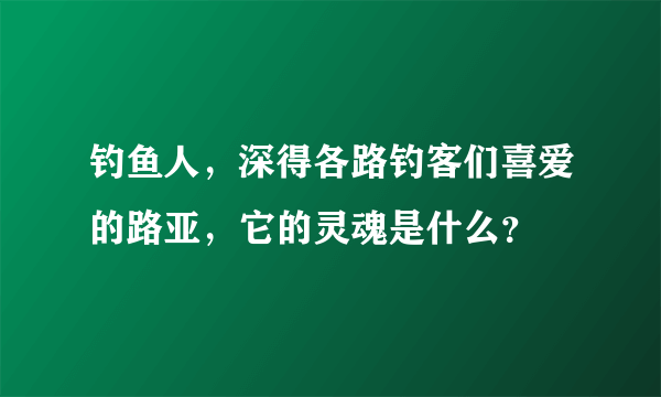 钓鱼人，深得各路钓客们喜爱的路亚，它的灵魂是什么？