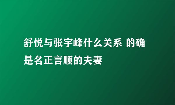 舒悦与张宇峰什么关系 的确是名正言顺的夫妻