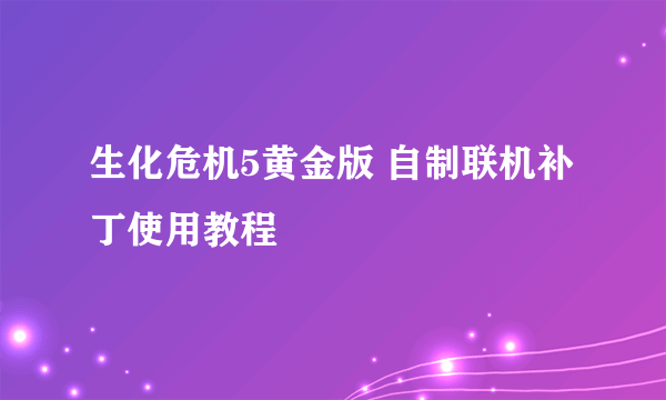 生化危机5黄金版 自制联机补丁使用教程