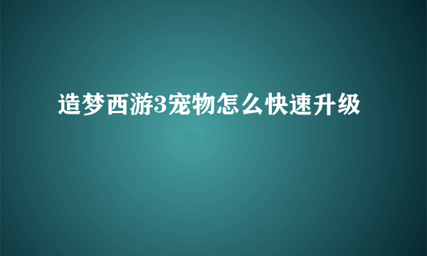 造梦西游3宠物怎么快速升级