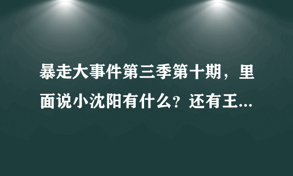 暴走大事件第三季第十期，里面说小沈阳有什么？还有王尼玛说“是他自己报的警”时下面的小字（实际上是金