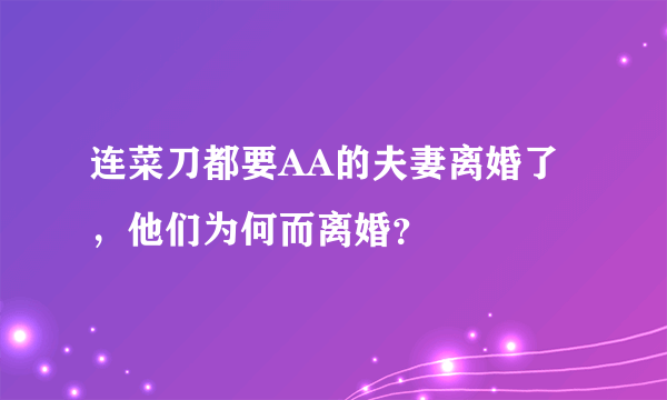 连菜刀都要AA的夫妻离婚了，他们为何而离婚？