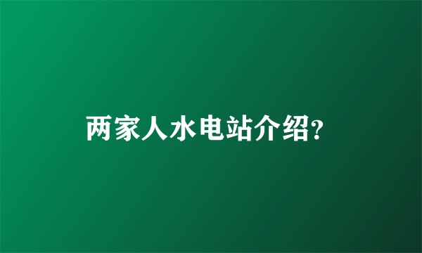 两家人水电站介绍？