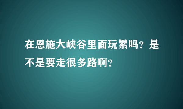 在恩施大峡谷里面玩累吗？是不是要走很多路啊？