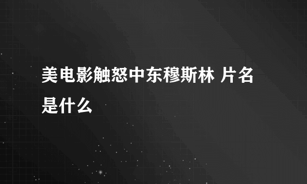 美电影触怒中东穆斯林 片名是什么