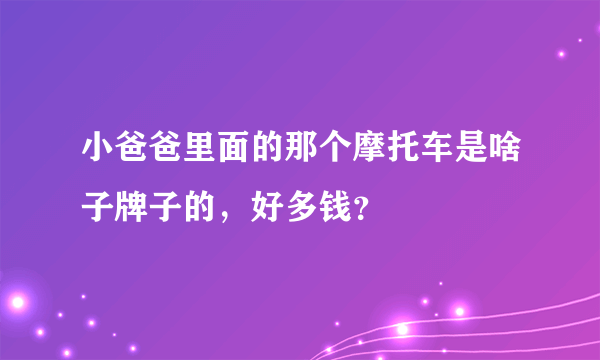 小爸爸里面的那个摩托车是啥子牌子的，好多钱？