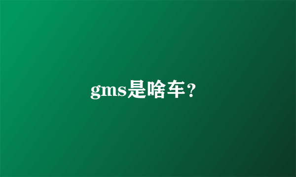 gms是啥车？