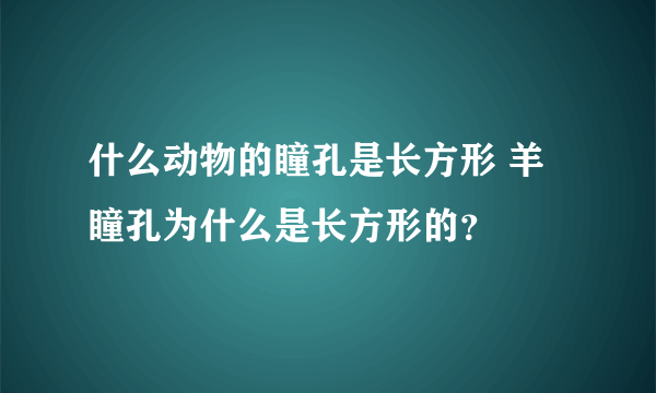 什么动物的瞳孔是长方形 羊瞳孔为什么是长方形的？