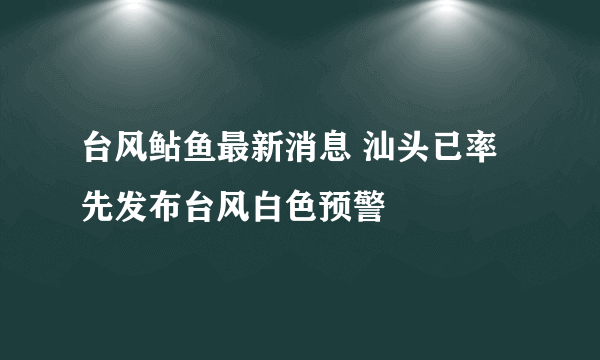 台风鲇鱼最新消息 汕头已率先发布台风白色预警