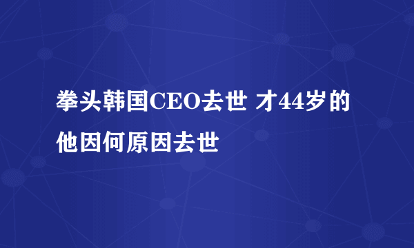 拳头韩国CEO去世 才44岁的他因何原因去世