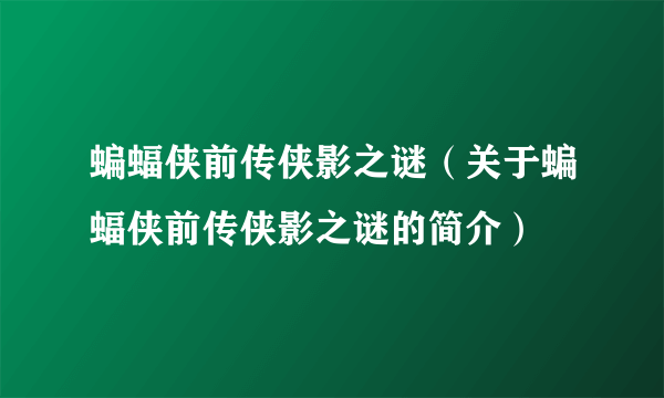 蝙蝠侠前传侠影之谜（关于蝙蝠侠前传侠影之谜的简介）