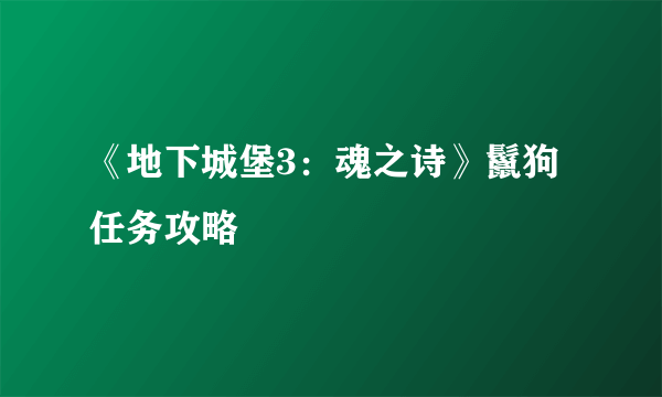 《地下城堡3：魂之诗》鬣狗任务攻略