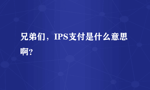 兄弟们，IPS支付是什么意思啊？