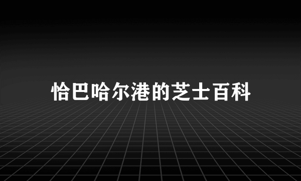 恰巴哈尔港的芝士百科