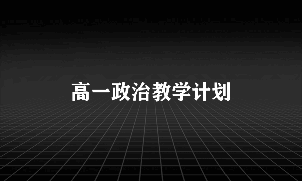 高一政治教学计划