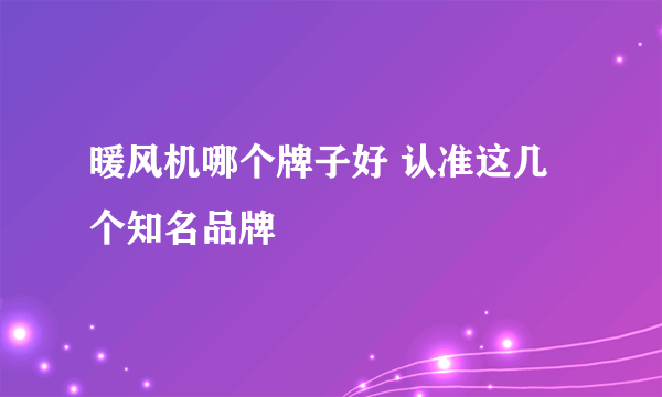 暖风机哪个牌子好 认准这几个知名品牌