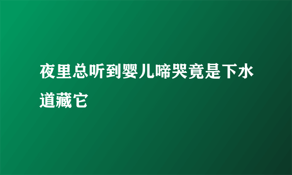 夜里总听到婴儿啼哭竟是下水道藏它