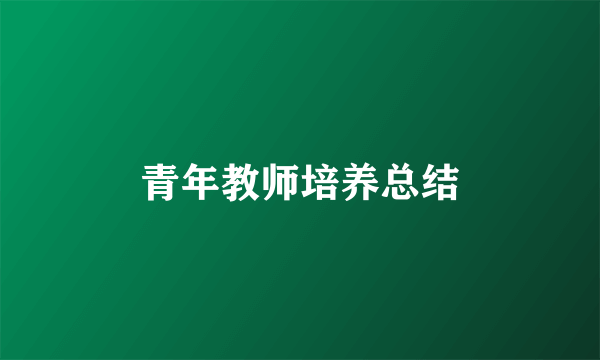 青年教师培养总结