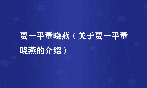 贾一平董晓燕（关于贾一平董晓燕的介绍）