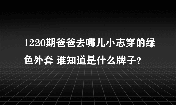 1220期爸爸去哪儿小志穿的绿色外套 谁知道是什么牌子？