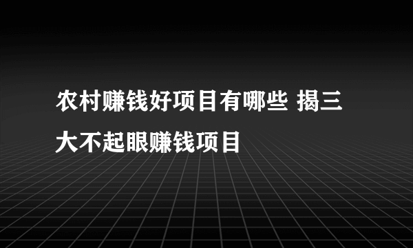 农村赚钱好项目有哪些 揭三大不起眼赚钱项目