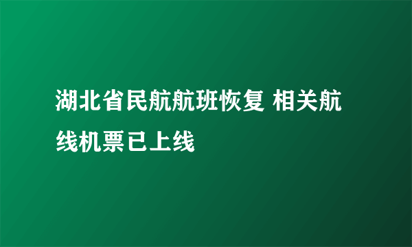 湖北省民航航班恢复 相关航线机票已上线