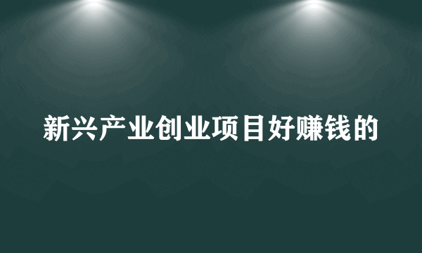 新兴产业创业项目好赚钱的