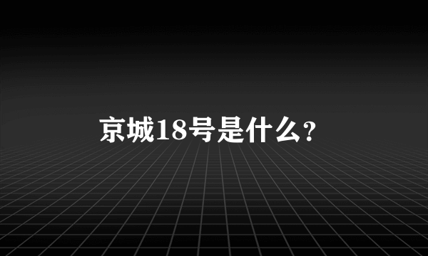 京城18号是什么？