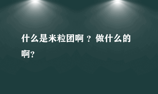 什么是米粒团啊 ？做什么的啊？